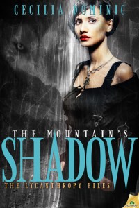 the-mountains-shadow